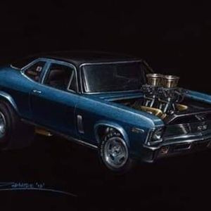 Meet your Posher, Steve